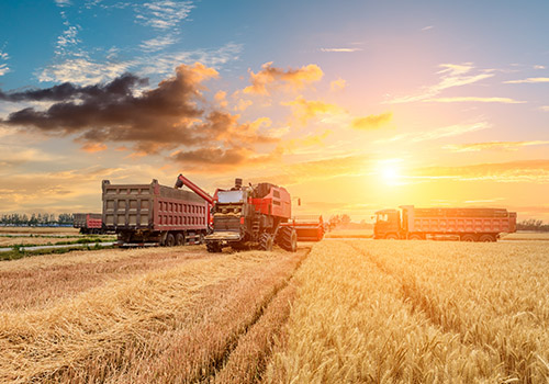Agribusiness & Farm